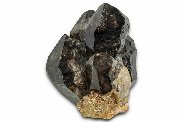Smoky Quartz Crystal Cluster - Australia #351791